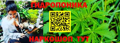 прущие грибы Гусиноозёрск
