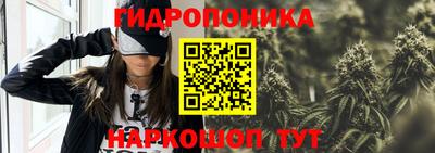кокс Гусев