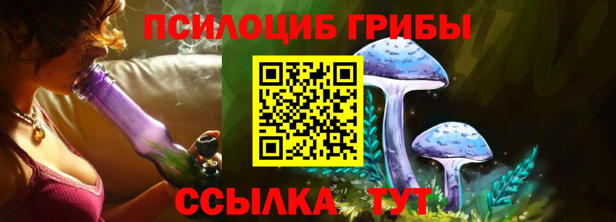 Галлюциногенные грибы Cubensis  Вход с VPN  Псилоцибиновые грибы GOLDEN TEACHER  Лосино-Петровский 