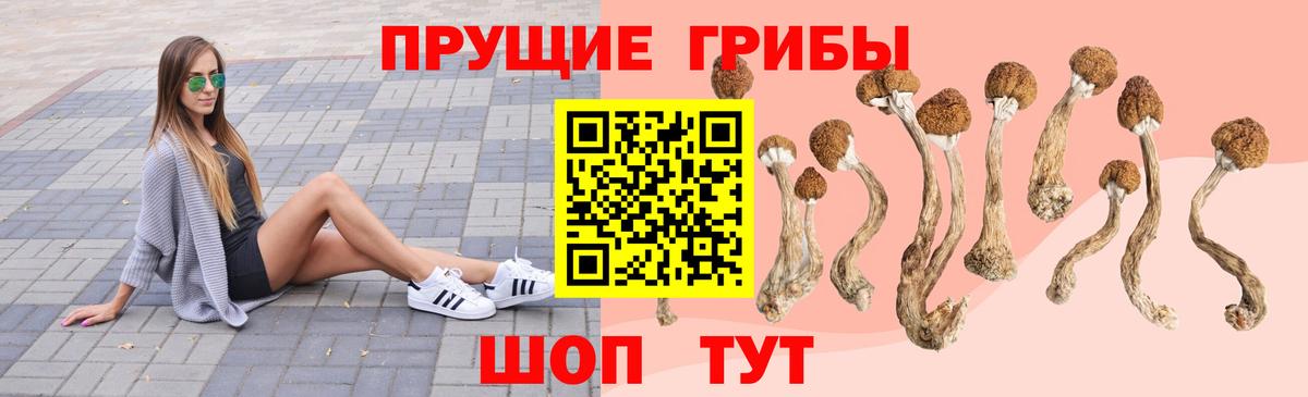 Галлюциногенные грибы прущие грибы Лосино-Петровский